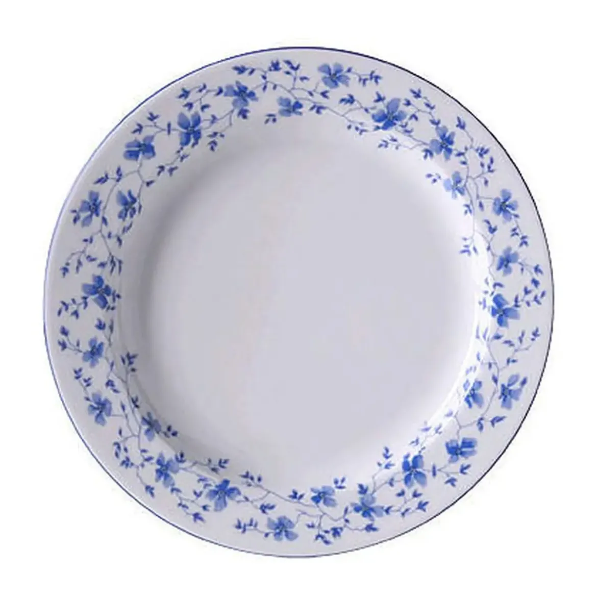 Arzberg Frühstücksteller fl. 22cm Form 1382 Blaublüten